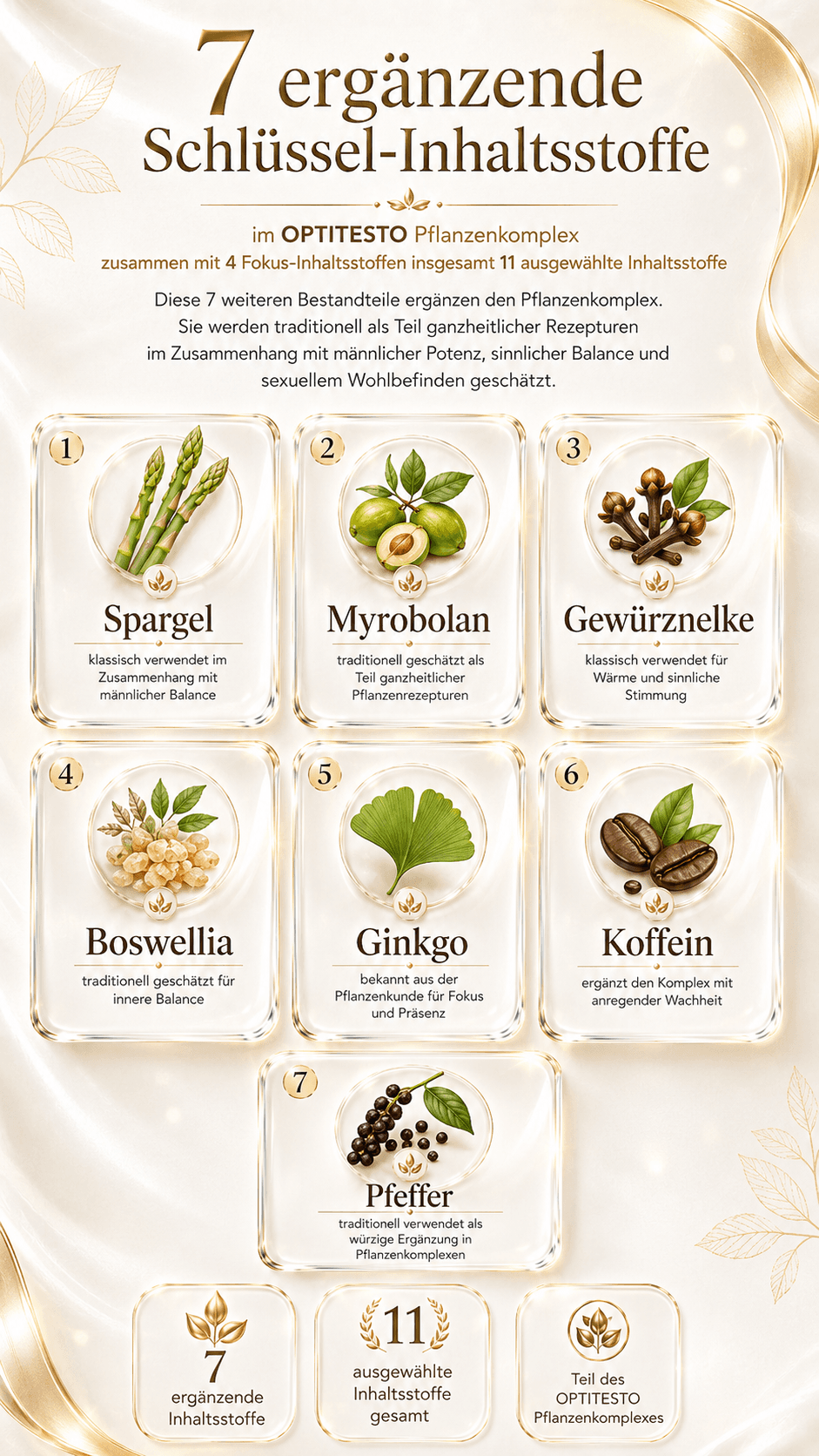 7 ergänzende Schlüssel-Inhaltsstoffe im OPTITESTO Pflanzenkomplex: Spargel (klassisch verwendet im Zusammenhang mit männlicher Balance), Myrobolan (traditionell geschätzt als Teil ganzheitlicher Pflanzenrezepturen), Gewürznelke (klassisch verwendet für Wärme und sinnliche Stimmung), Boswellia (traditionell geschätzt für innere Balance), Ginkgo (bekannt aus der Pflanzenkunde für Fokus und Präsenz), Koffein (ergänzt den Komplex mit anregender Wachheit) und Pfeffer (traditionell verwendet als würzige Ergänzung in Pflanzenkomplexen).